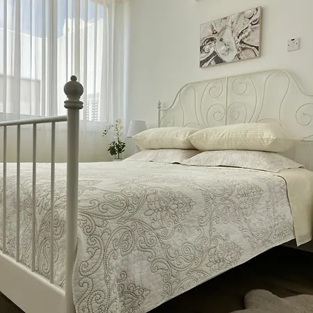 Sunlit Serenity In * 파포스